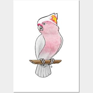 Bird - Pink Cockatoo - Crest Down Posters and Art